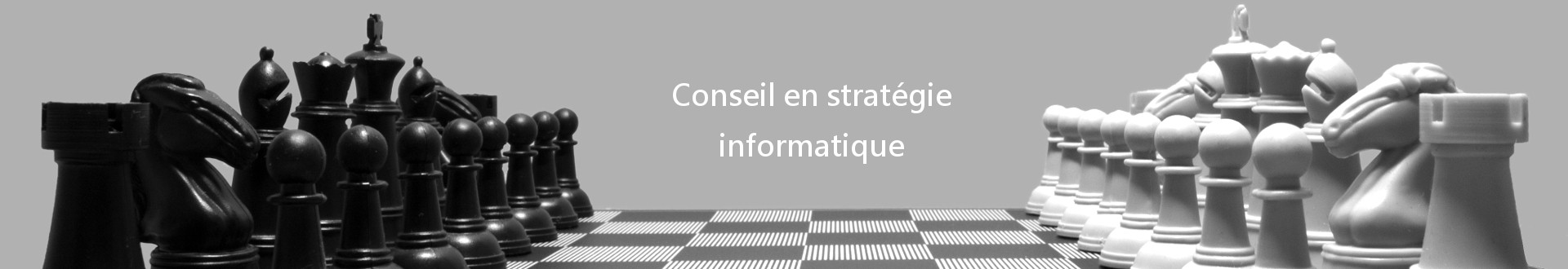 Conseil, strategie informatique